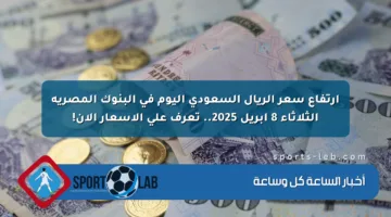 ارتفاع سعر الريال السعودي اليوم في البنوك المصرية الثلاثاء 8 أبريل 2025.. تعرف على الأسعار الآن!